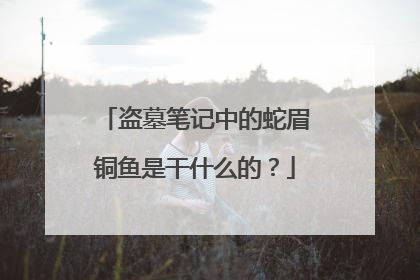 盗墓笔记中的蛇眉铜鱼是干什么的?