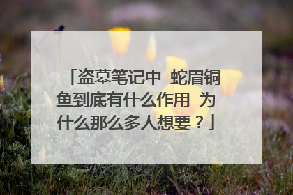 盗墓笔记中 蛇眉铜鱼到底有什么作用 为什么那么多人想要?