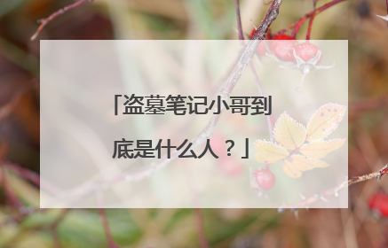 盗墓笔记小哥到底是什么人?