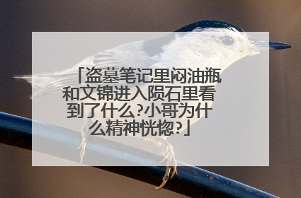 盗墓笔记里闷油瓶和文锦进入陨石里看到了什么?小哥为什么精神恍惚?