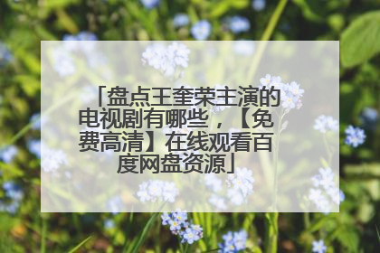 盘点王奎荣主演的电视剧有哪些，【免费高清】在线观看百度网盘资源