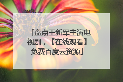 盘点王新军主演电视剧，【在线观看】免费百度云资源