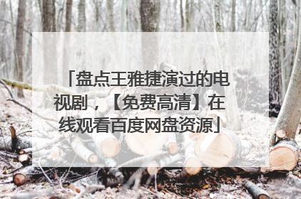 盘点王雅捷演过的电视剧,【免费高清】在线观看百度网盘资源