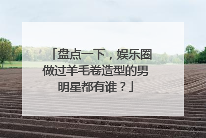 盘点一下,娱乐圈做过羊毛卷造型的男明星都有谁?