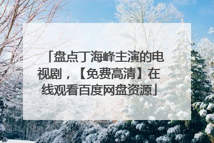 盘点丁海峰主演的电视剧,【免费高清】在线观看百度网盘资源