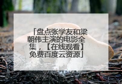 盘点张学友和梁朝伟主演的电影全集，【在线观看】免费百度云资源