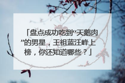 盘点成功吃到“天鹅肉”的男星，王祖蓝汪峰上榜，你还知道哪些？