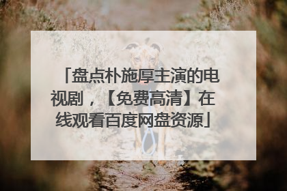 盘点朴施厚主演的电视剧，【免费高清】在线观看百度网盘资源