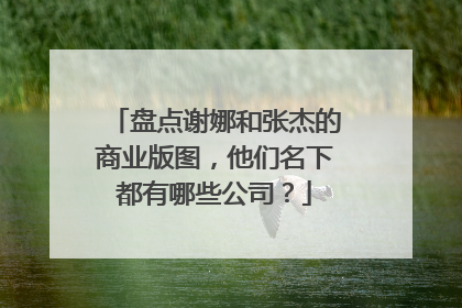 盘点谢娜和张杰的商业版图，他们名下都有哪些公司？