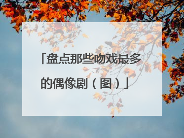 盘点那些吻戏最多的偶像剧（图）