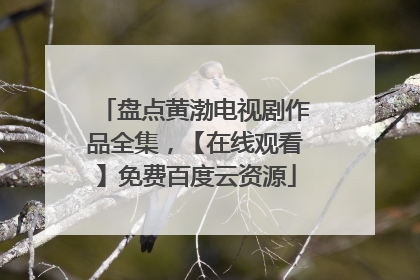 盘点黄渤电视剧作品全集,【在线观看】免费百度云资源