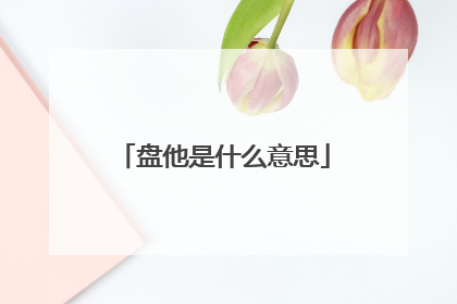 盘他是什么意思