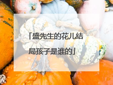 盛先生的花儿结局孩子是谁的