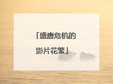 盛唐危机的影片花繁