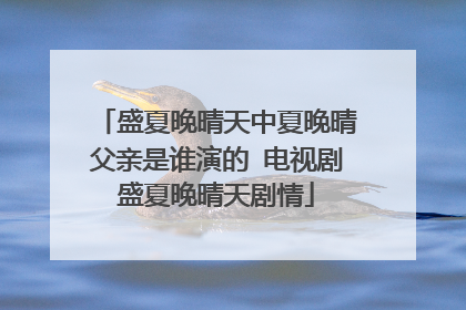 盛夏晚晴天中夏晚晴父亲是谁演的 电视剧盛夏晚晴天剧情
