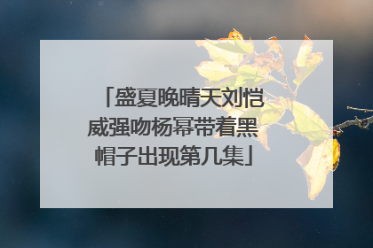 盛夏晚晴天刘恺威强吻杨幂带着黑帽子出现第几集