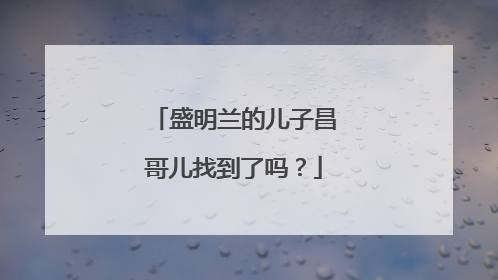 盛明兰的儿子昌哥儿找到了吗?