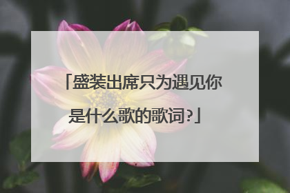 盛装出席只为遇见你是什么歌的歌词?