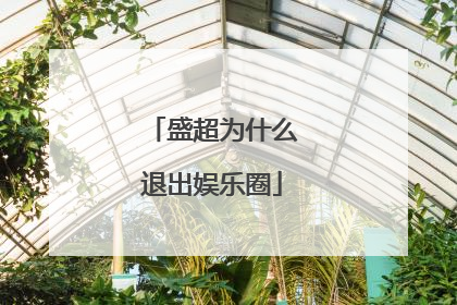 盛超为什么退出娱乐圈