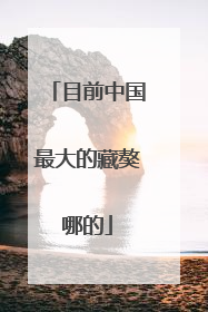 目前中国最大的藏獒哪的