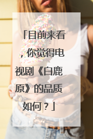 目前来看,你觉得电视剧《白鹿原》的品质如何?