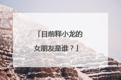 目前释小龙的女朋友是谁？