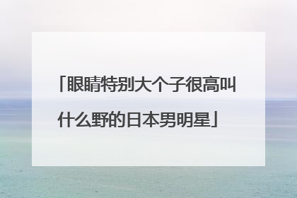 眼睛特别大个子很高叫什么野的日本男明星
