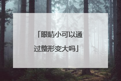 眼睛小可以通过整形变大吗