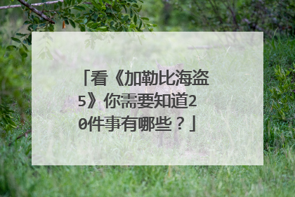 看《加勒比海盗5》你需要知道20件事有哪些？