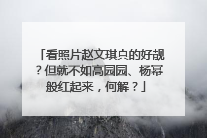 看照片赵文琪真的好靓？但就不如高园园、杨幂般红起来，何解？