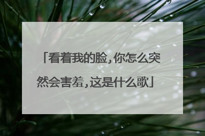 看着我的脸,你怎么突然会害羞,这是什么歌