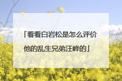 看看白岩松是怎么评价他的乱生兄弟汪峰的