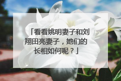 看看姚明妻子和刘翔田亮妻子,她们的长相如何呢?