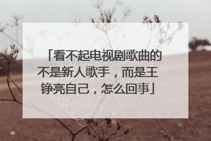 看不起电视剧歌曲的不是新人歌手，而是王铮亮自己，怎么回事