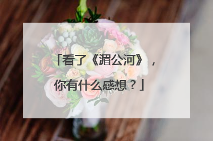 看了《湄公河》，你有什么感想？