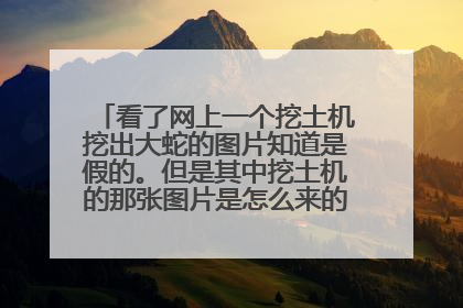 看了网上一个挖土机挖出大蛇的图片知道是假的。但是其中挖土机的那张图片是怎么来的？真的有人挖出？