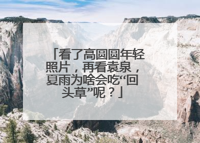 看了高圆圆年轻照片，再看袁泉，夏雨为啥会吃“回头草”呢？