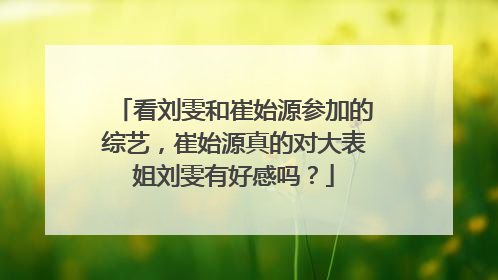 看刘雯和崔始源参加的综艺,崔始源真的对大表姐刘雯有好感吗?