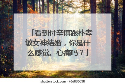 看到付辛博跟朴孝敏女神结婚，你是什么感觉。心痛吗？