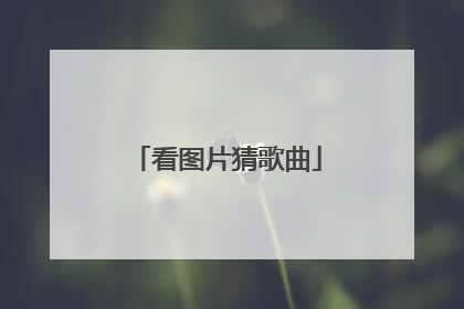 看图片猜歌曲