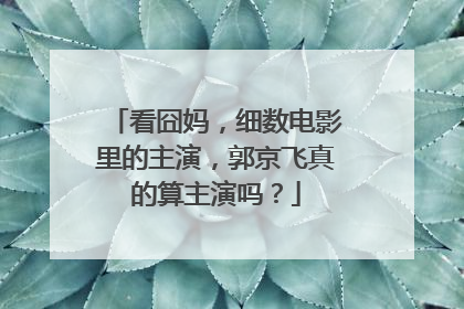 看囧妈，细数电影里的主演，郭京飞真的算主演吗？