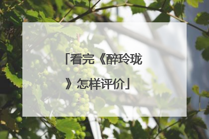 看完《醉玲珑》怎样评价