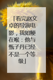 看完赵文卓的导演电影,我如鲠在喉:他与甄子丹已经不是一个等级