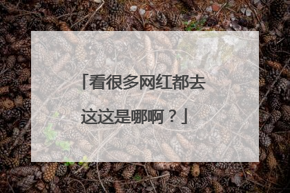 看很多网红都去这这是哪啊？