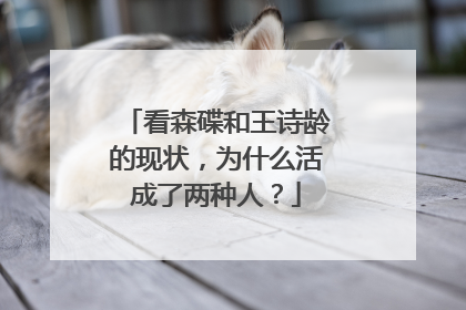 看森碟和王诗龄的现状,为什么活成了两种人?