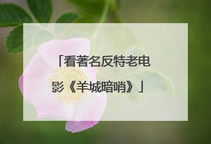 看著名反特老电影《羊城暗哨》