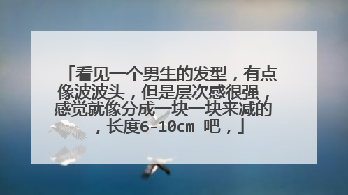 看见一个男生的发型，有点像波波头，但是层次感很强，感觉就像分成一块一块来减的，长度6-10cm 吧，