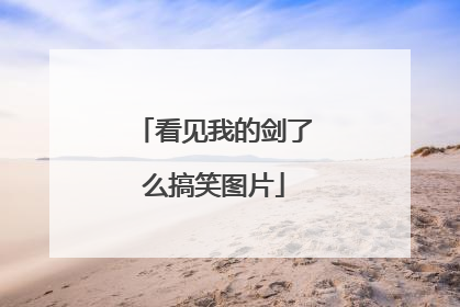 看见我的剑了么搞笑图片