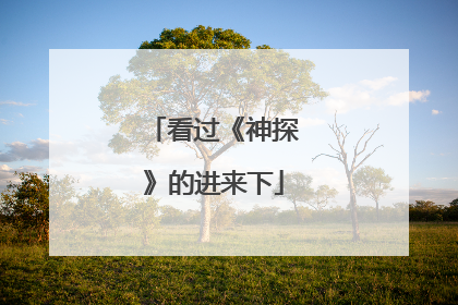 看过《神探》的进来下