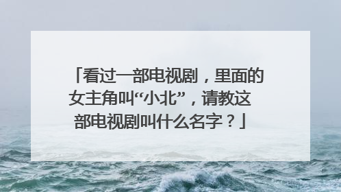 看过一部电视剧,里面的女主角叫“小北”,请教这部电视剧叫什么名字?